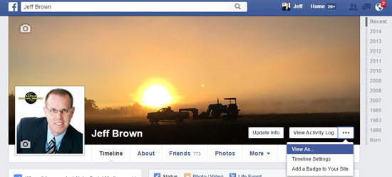 View As Facebook Profile setting